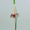 Tree Kabel (Meterware) – Bild 2