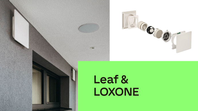 Leaf Ventilation